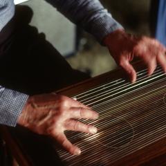 Roland Braun's hands on zither