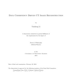 Data Consistency Driven CT Image Reconstruction