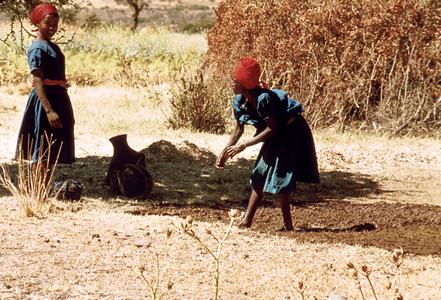 Women Making Dung Cakes for Fuel
