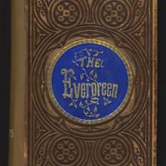 The evergreen