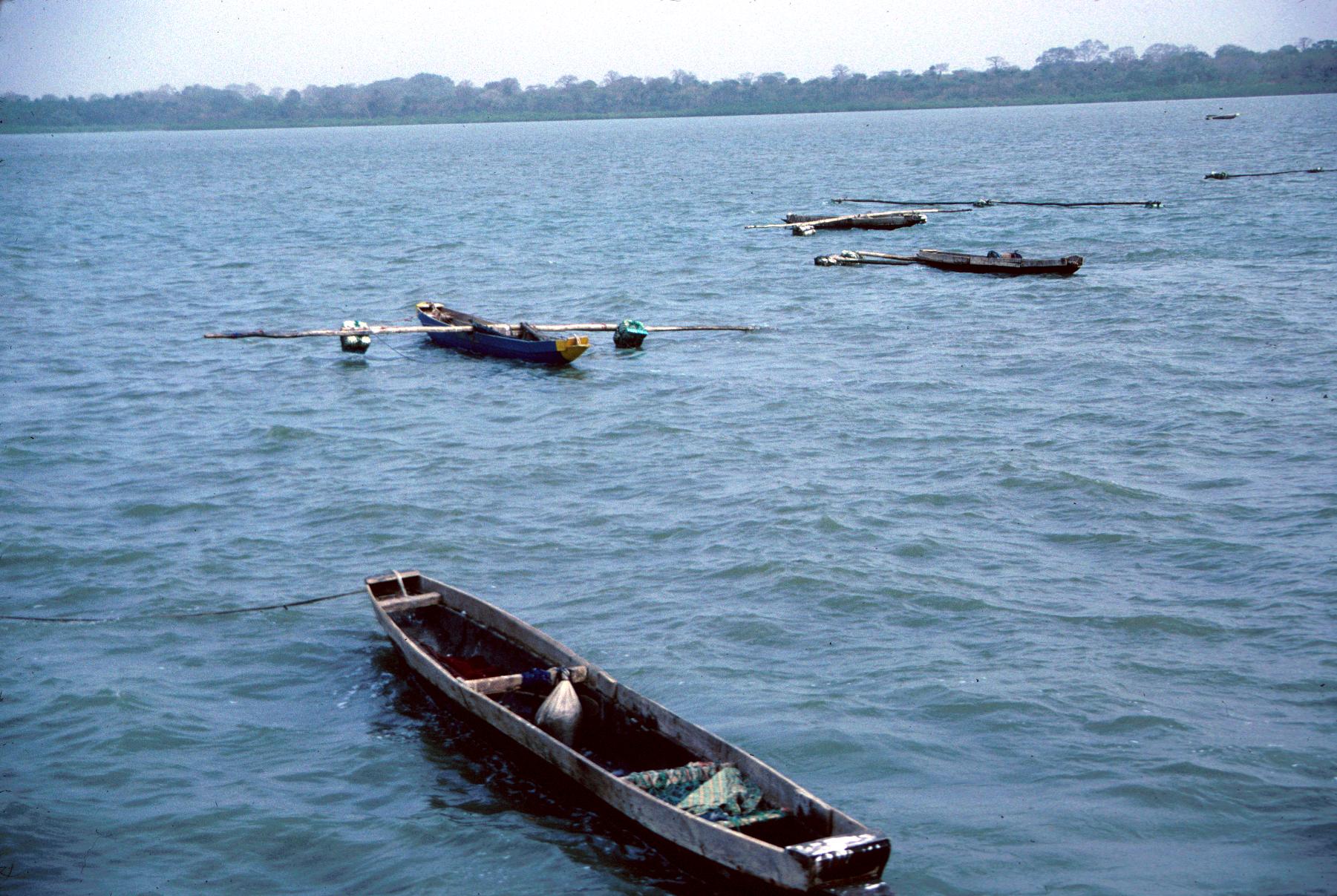 Shrimp Boats on the Gambia River