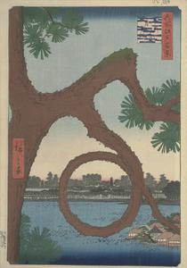 The Moon Pine on the Temple Precincts at Ueno, no. 89 from the series One-hundred Views of Famous Places in Edo