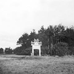 A widow's memorial to her chastity.