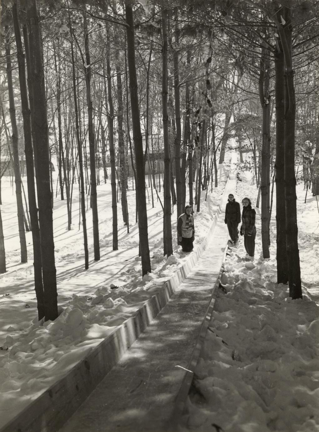 Toboggan slide at Devil's Lake State Park - UWDC - UW-Madison Libraries