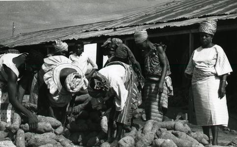 Mrs. Ogendengbe and co-sellers sorting yams at the market