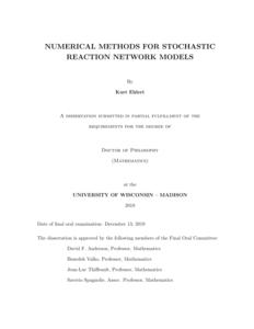 Numerical Methods for Stochastic Reaction Network Models