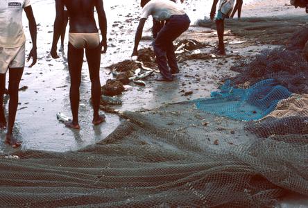 Emptying the Fish Net