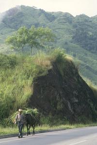 Deforested hills, east of La Ceiba