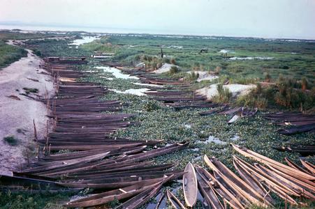 Dugout Canoes on Zaire (Congo River) Inlet