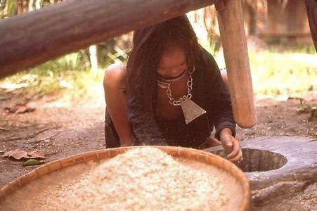 Girl scooping rice