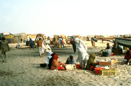 Sorting Fish along Nouakchott Beach