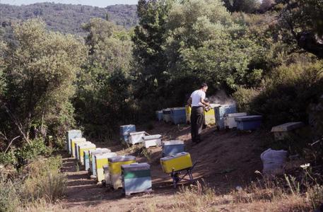 Apiary at the Pantocrator Monastery