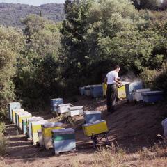 Apiary at the Pantocrator Monastery