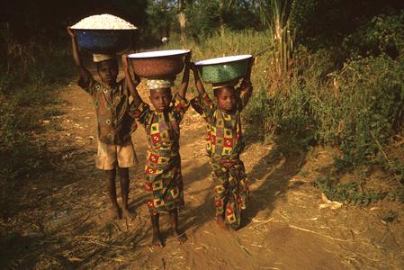 Children Carrying Load of Grains and Water on Their Heads