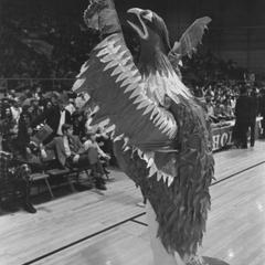 Phoenix mascot at a men's basketball game