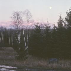 Moon rises over birch and spruce trees, Potawatomi Reservation