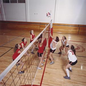 Women's volleyball team practice