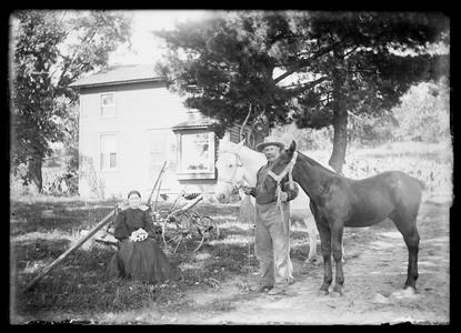 Horse with couple