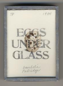 Eggs under glass : (2 dozen)