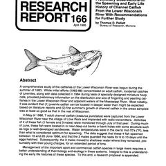 Preliminary observations on the spawning and early life history of channel catfish from the lower Wisconsin River with recommendations for further study