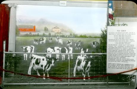 Model dairy farm