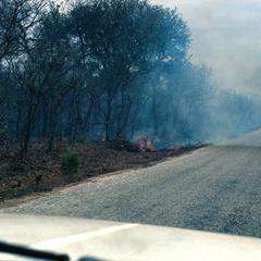 Brush Fire Along the Highway in Eastern Gambia