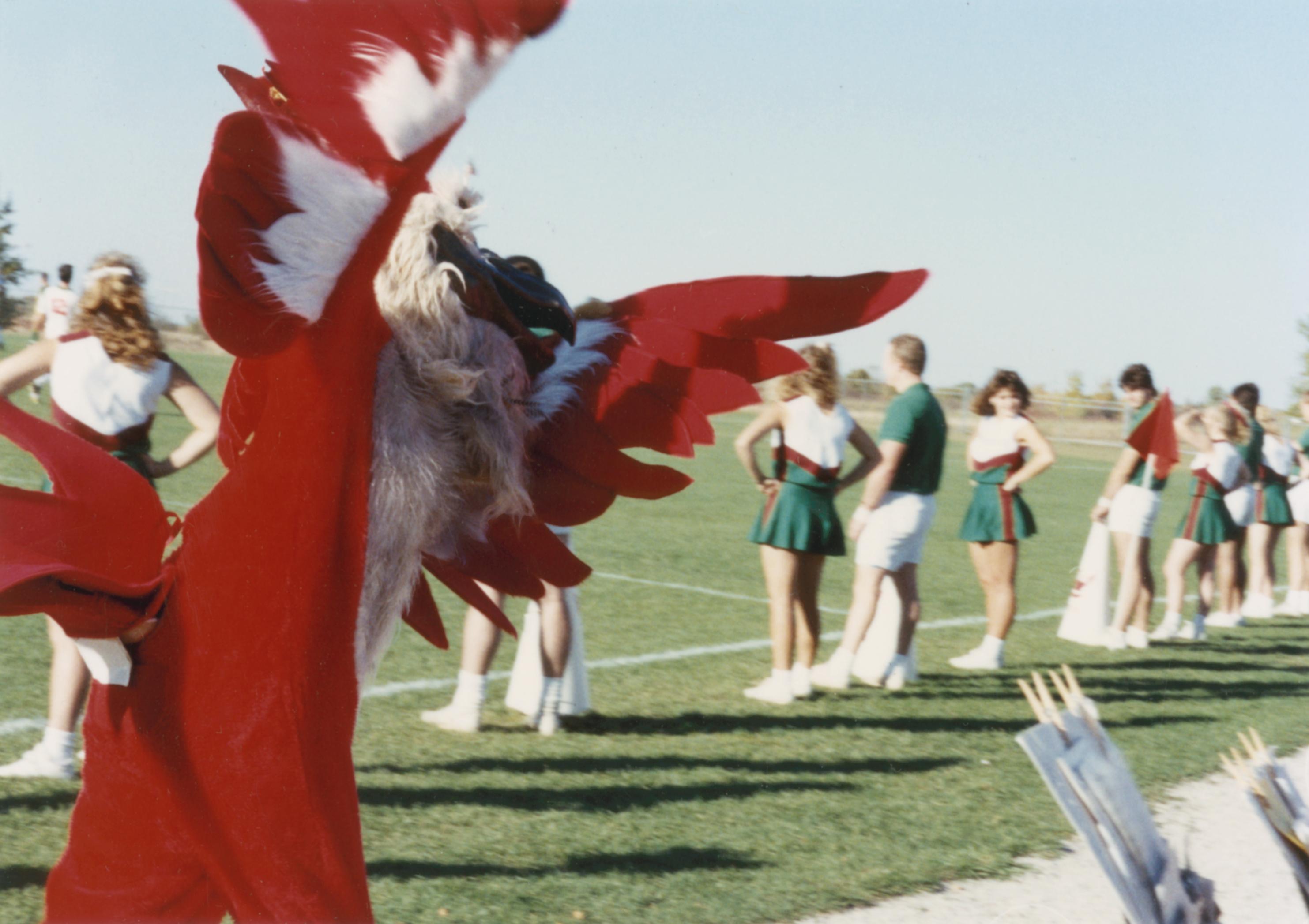 Phoenix - UW Green Bay - Olympus Mascots