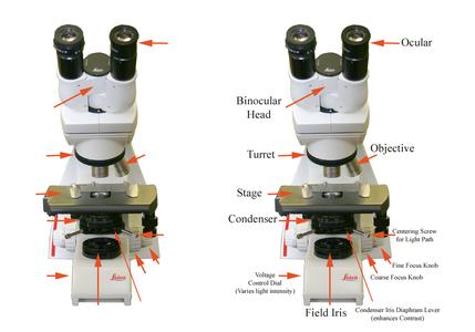 Front view of the Leica microscope used in General Botany taught at the University of Wisconsin-Madison.