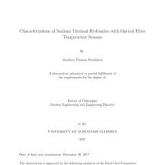 Characterization of Sodium Thermal Hydraulics with Optical Fiber Temperature Sensors