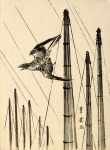 Cuckoo Flying Past Mast in Rain