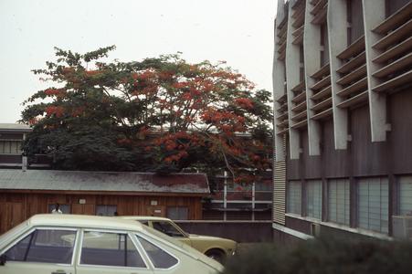 University of Ibadan building