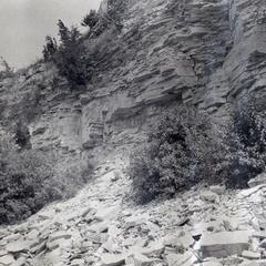 Mayville dolomite and Richmond shale