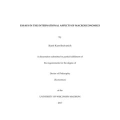 Essays in the International Aspects of Macroeconomics