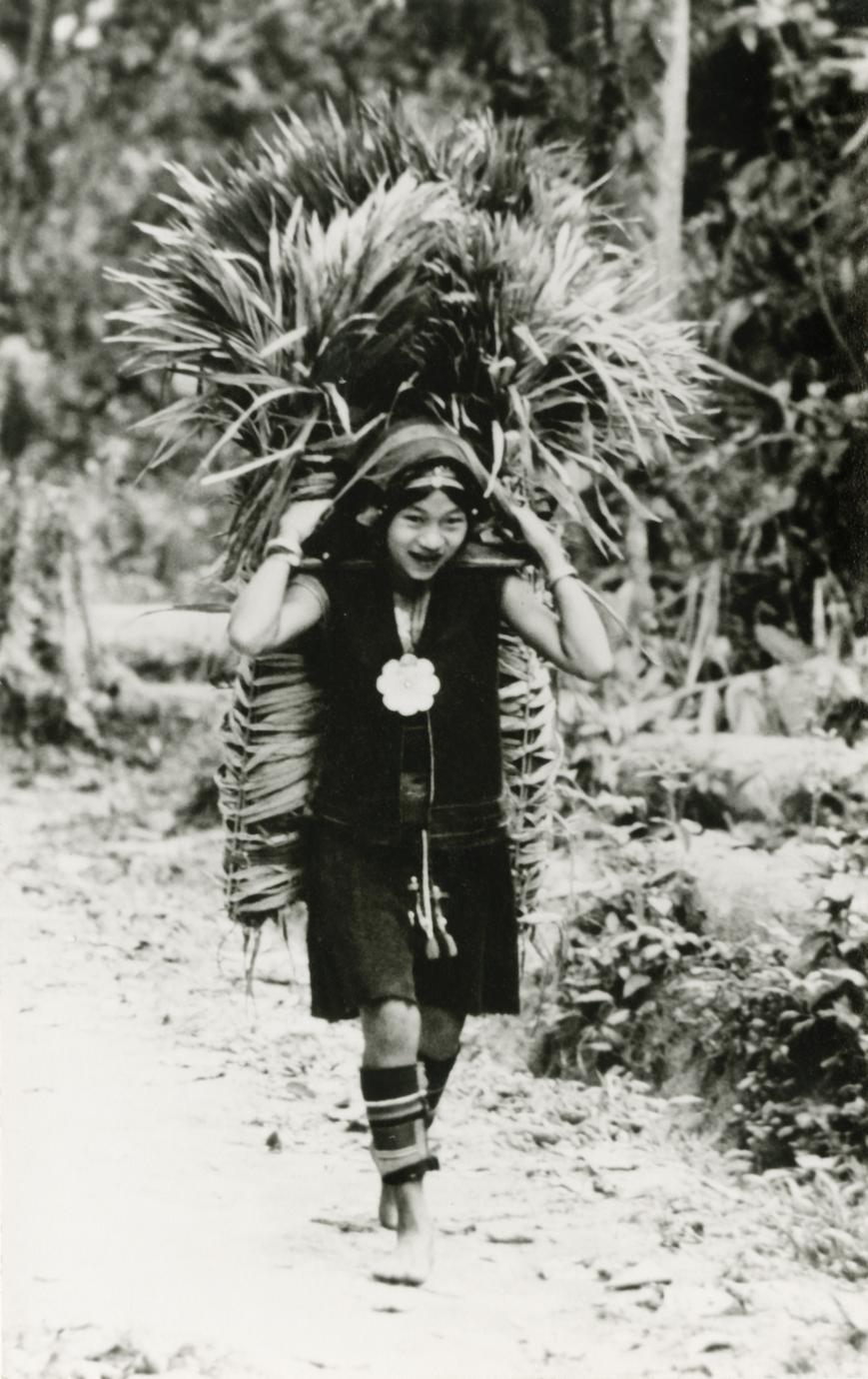 Akha woman carrying palm leaves near the village of Phate in Houa Khong Province