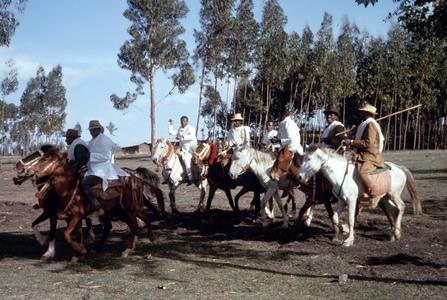 Men of Wedding Party Mounted on Horses in Front of Eucalyptus Trees