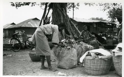 Woman packing kola at the Ilase market