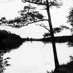 Skunk River