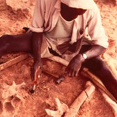 Excavating a Rhino Fossil in Olduvai Gorge