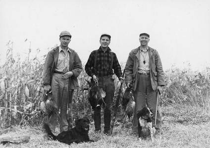 Hunting pheasants at Potters Marsh