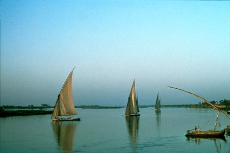 Feluccas (Sailing Boats) on Nile River
