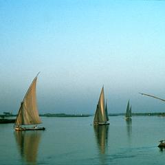 Feluccas (Sailing Boats) on Nile River