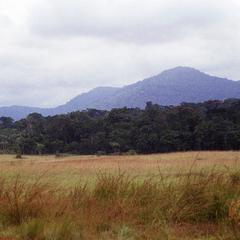 Monts du Chaillu, Gabon