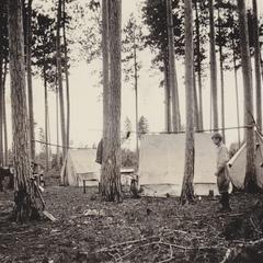 Camp in Pines