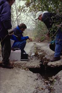 Sampling water in a storm sewer