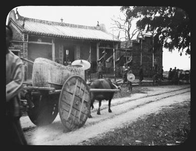 Ox cart with basket for cargo.