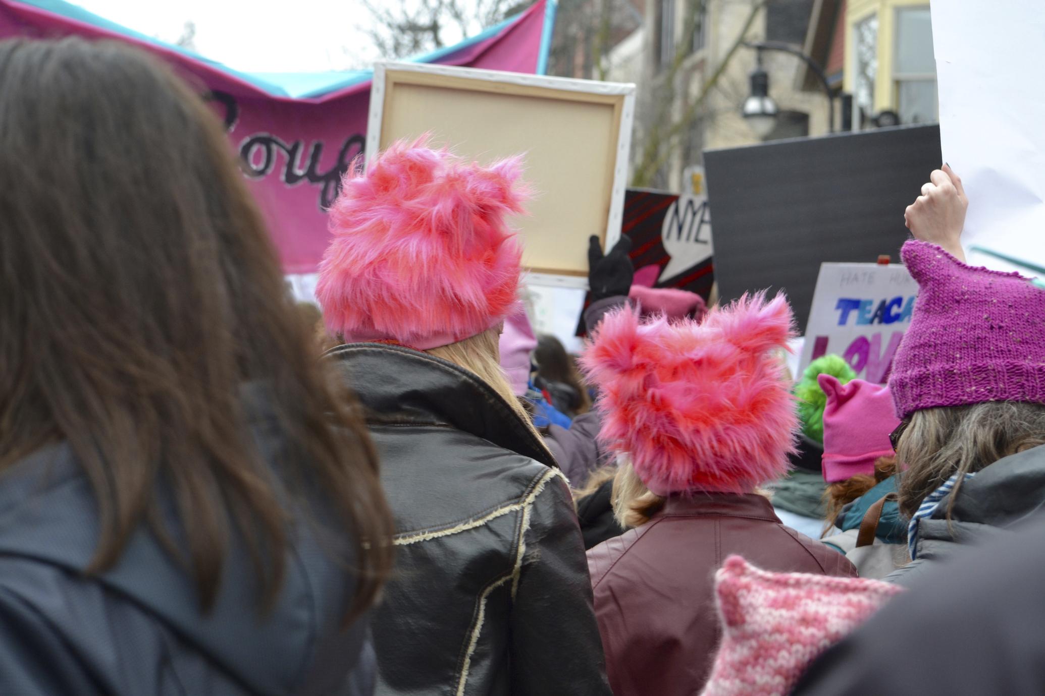 Protesters in fluffy pussy hats