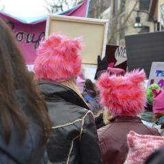 Protesters in fluffy pussy hats