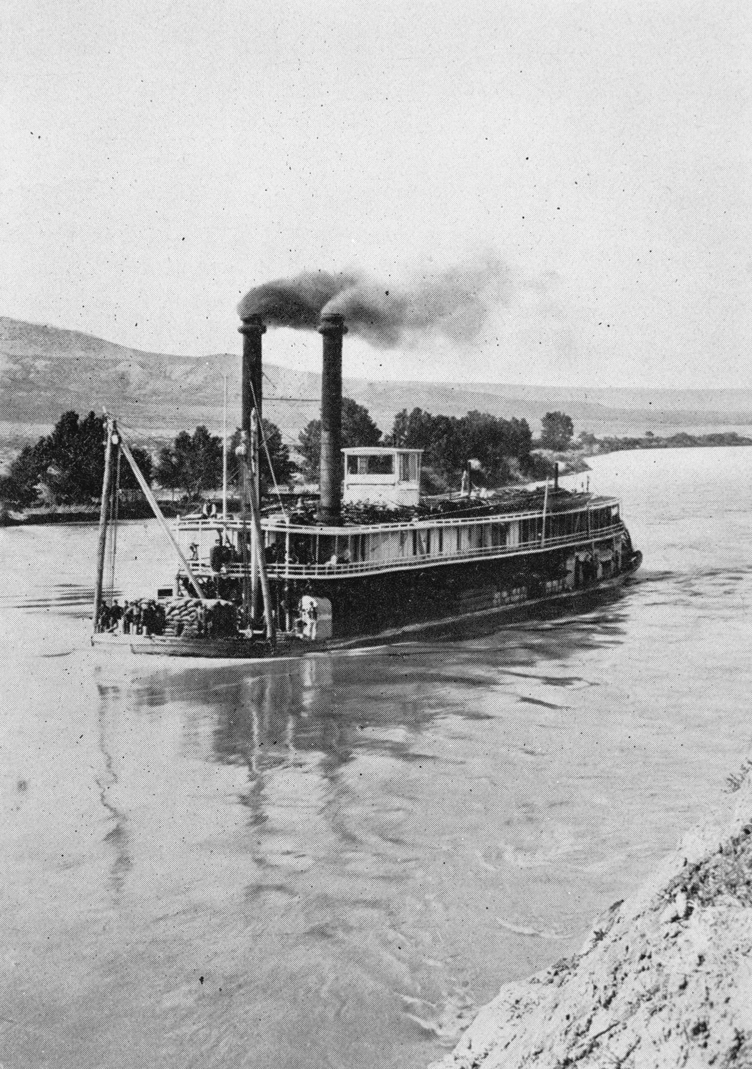 Rose Bud (Packet, 1877-1896) - UWDC - UW-Madison Libraries