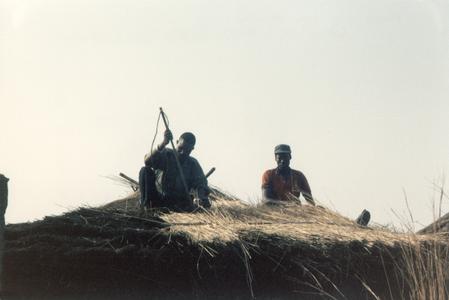 Roof Thatching