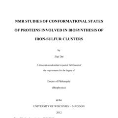 NMR Studies of Conformational States of Proteins involved in Biosynthesis of Iron-Sulfur Clusters